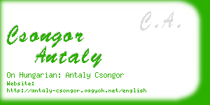 csongor antaly business card